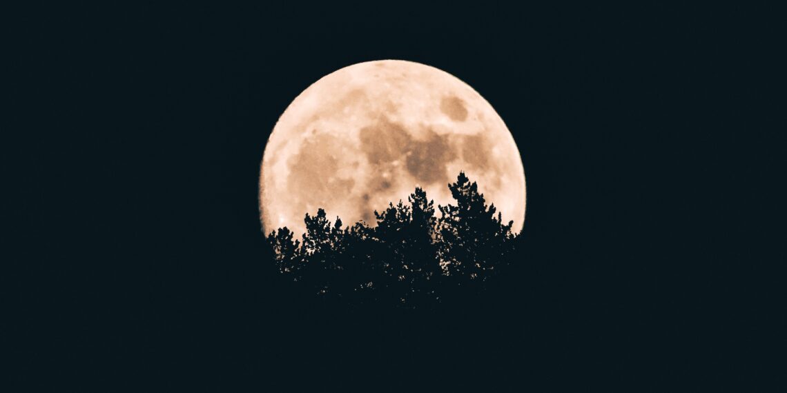 Mengetahui Fenomena Solstis Sebuah Penjelasan Penting ifmama – full moon behind a tree silhouettes